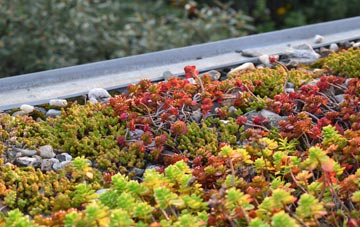the cost of Junction green roof installation