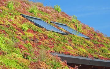 Junction living roof systems