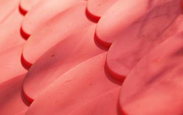 Junction plastic roof costs